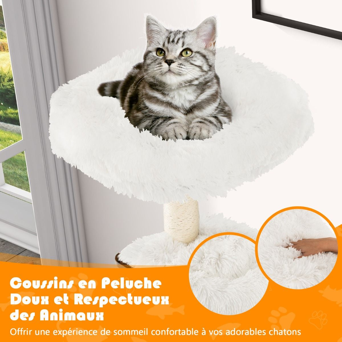 Arbre À Chat Avec Plateformes Et Colonnes En Sisal Griffoir Pour Chat Géant De Hauteur 175 Cm Café/Beige