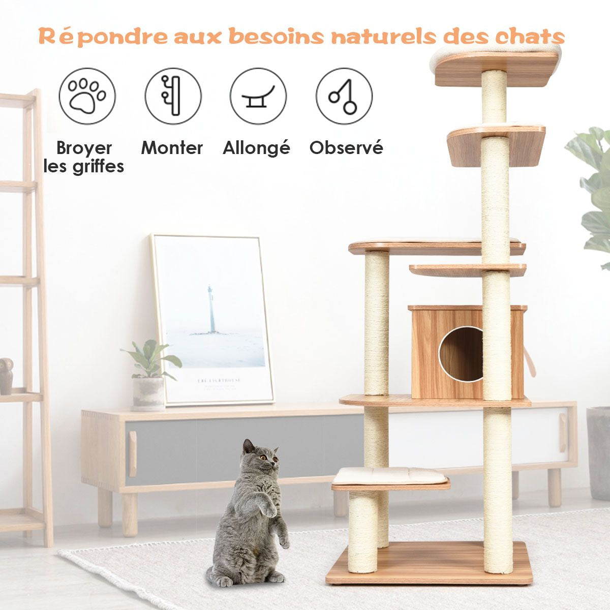Arbre À Chat Avec Plateformes Et Colonnes En Sisal Griffoir Pour Chat Géant De Hauteur 175 Cm Café/Beige