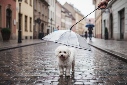 Parapluie + personne - Bichon