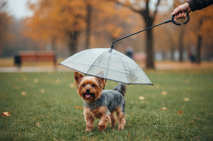 Parapluie + personne - Yorkshire
